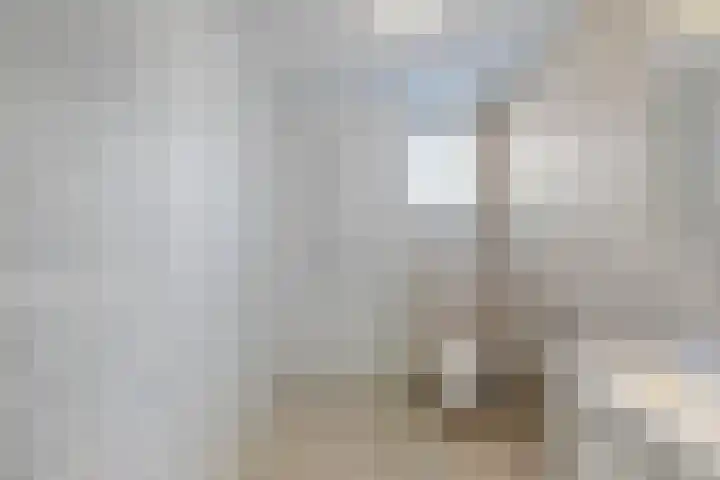 Froukemaheerd 191 Groningen thumbnail 4