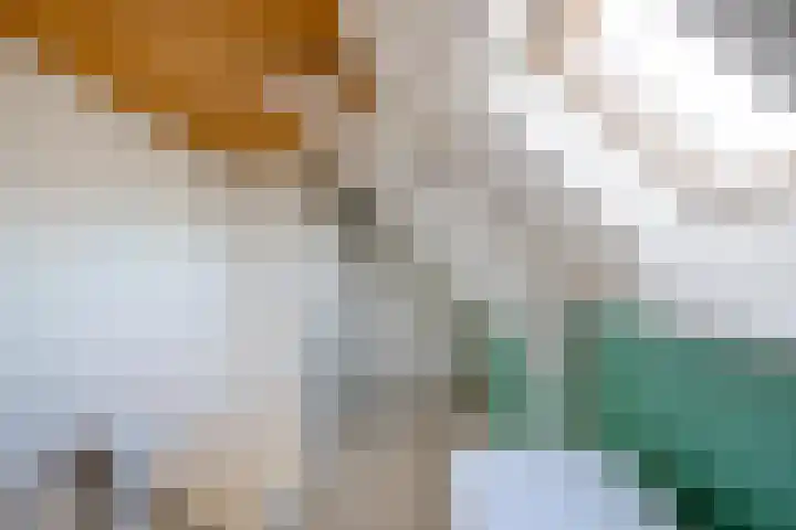 Froukemaheerd 191 Groningen thumbnail 49
