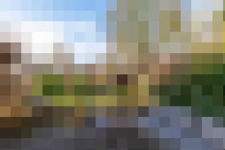 Froukemaheerd 191 Groningen thumbnail 5
