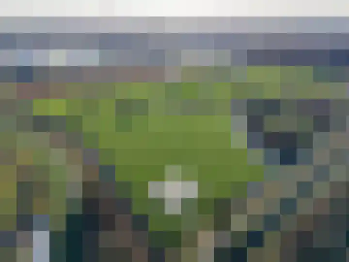 Froukemaheerd 191 Groningen thumbnail 7