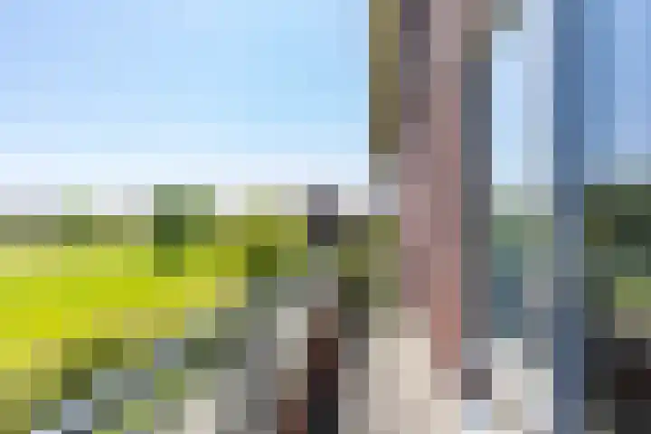 Frouwesân 137 Leeuwarden thumbnail 64