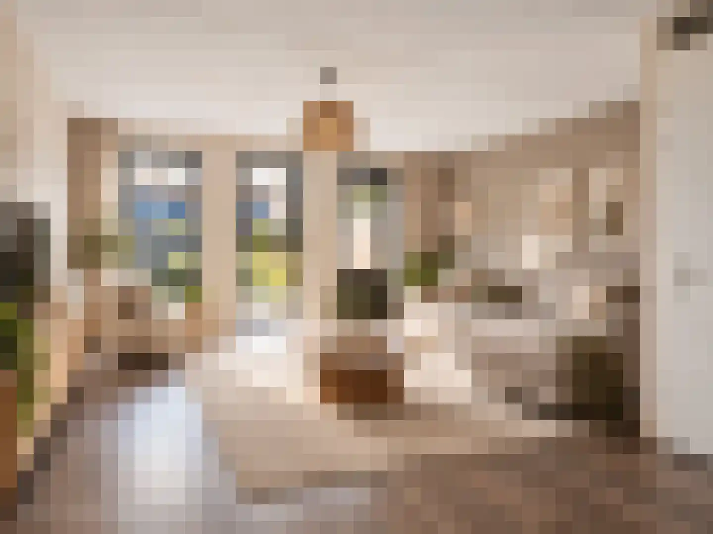Frouwesân 32 Leeuwarden thumbnail 7