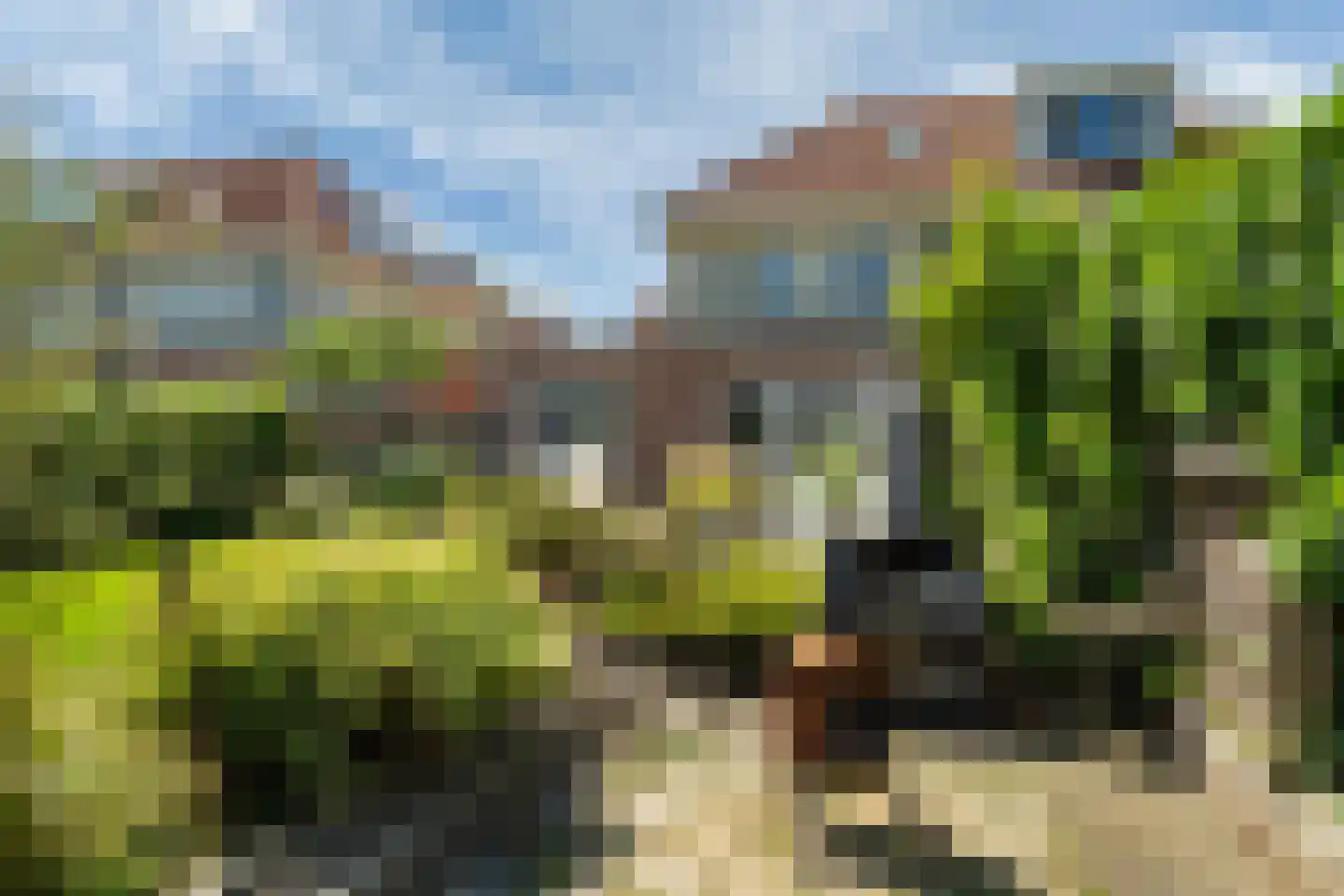 Frouwesân 35 Leeuwarden thumbnail 29