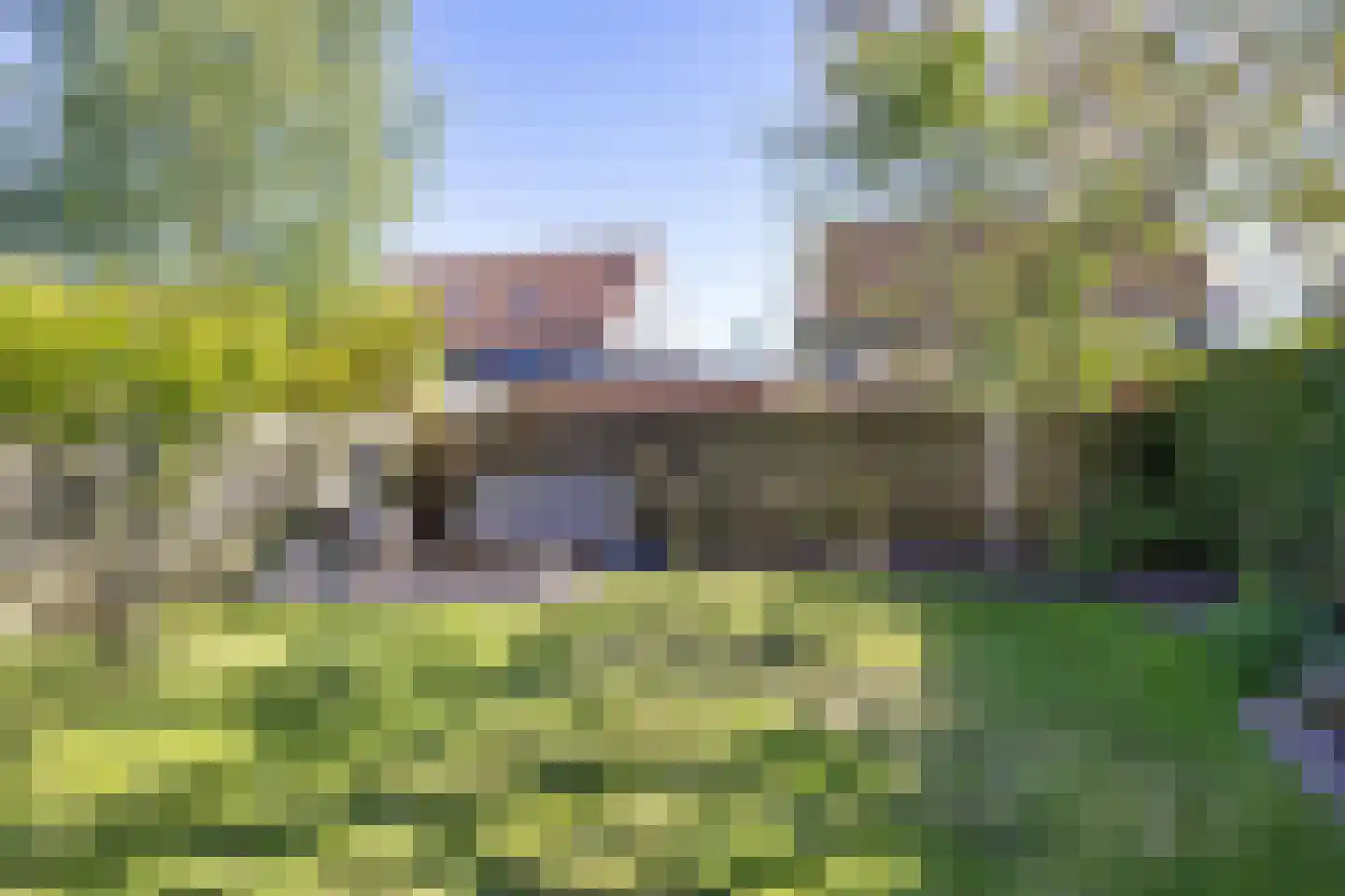 Frouwesân 50 Leeuwarden thumbnail 35