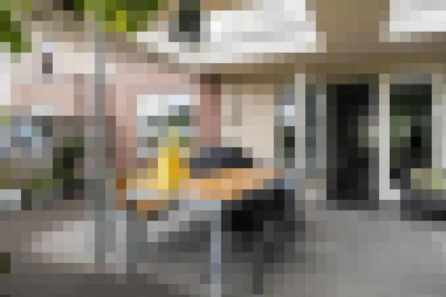 Frouwesân 71 Leeuwarden thumbnail 32
