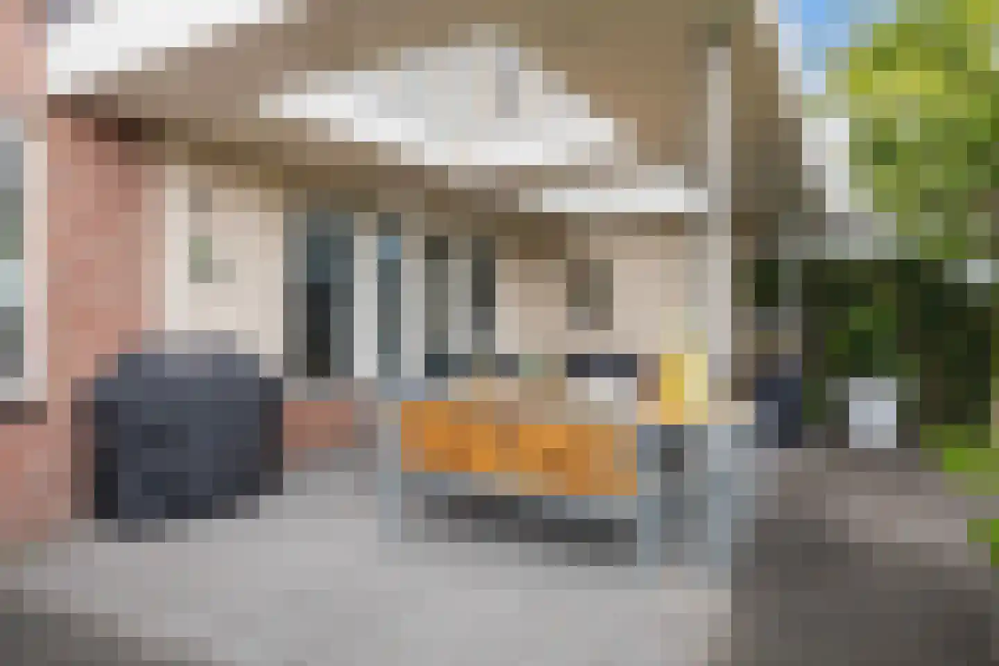 Frouwesân 71 Leeuwarden thumbnail 33