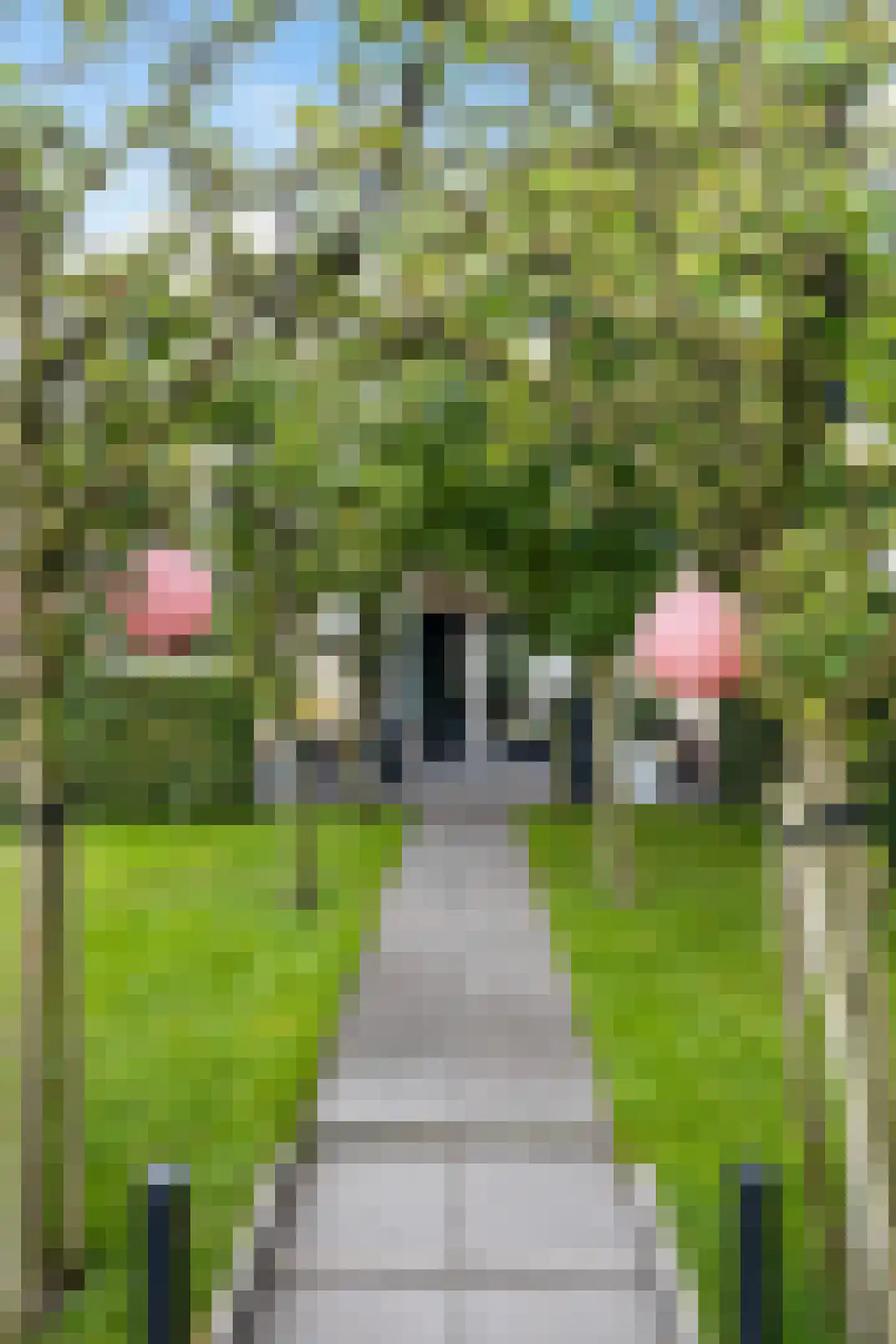 Frouwesân 71 Leeuwarden thumbnail 37