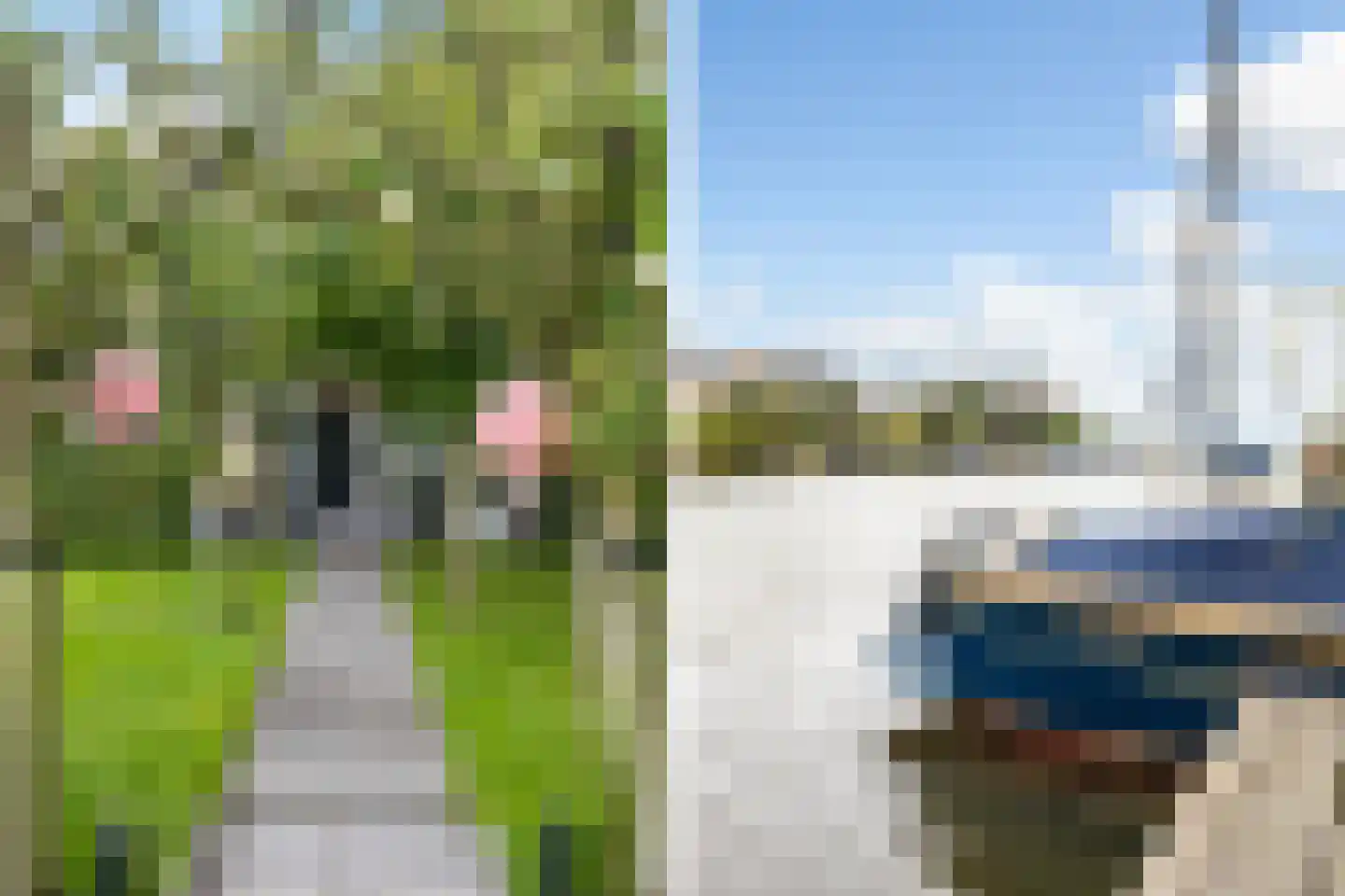 Frouwesân 71 Leeuwarden thumbnail 38