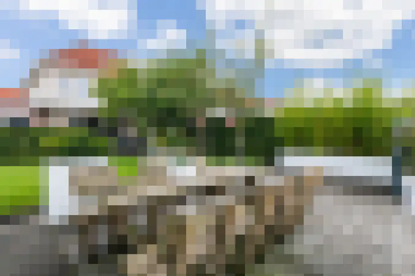 Frouwesân 71 Leeuwarden thumbnail 40