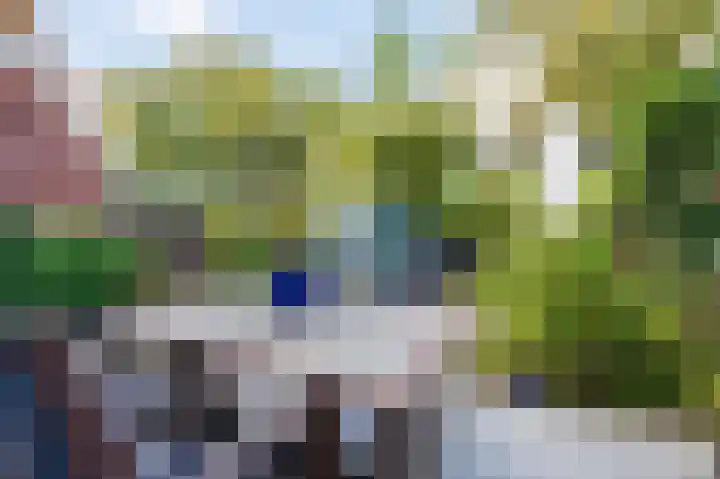 Fruinlaan 14 Leiden thumbnail 19
