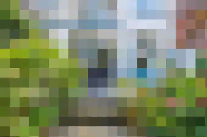 Fruinlaan 14 Leiden thumbnail 23