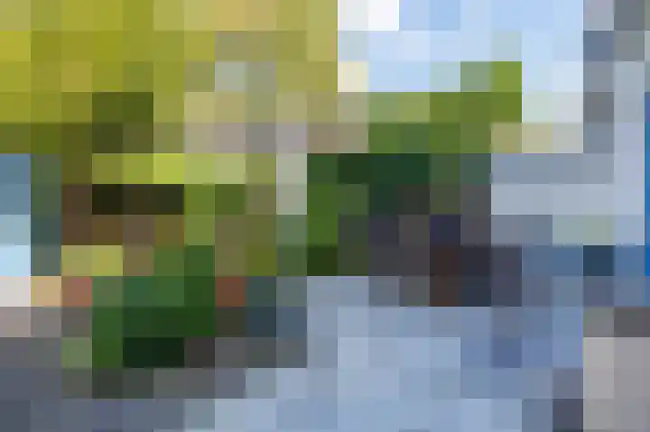 Fruinlaan 14 Leiden thumbnail 24