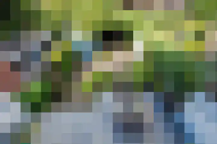 Fruinlaan 14 Leiden thumbnail 34