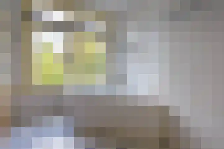 Fruinlaan 14 Leiden thumbnail 38