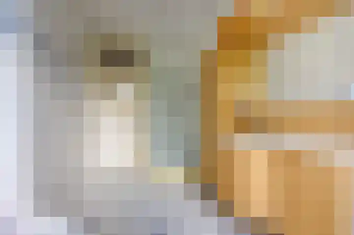 Fruinlaan 14 Leiden thumbnail 39