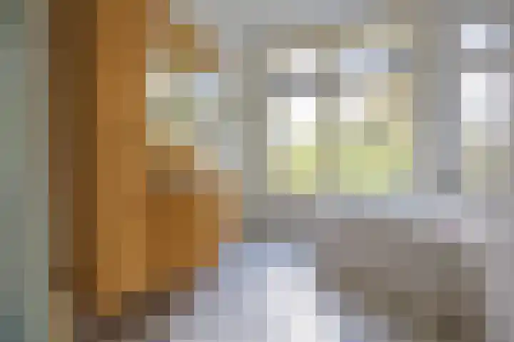 Fruinlaan 14 Leiden thumbnail 40