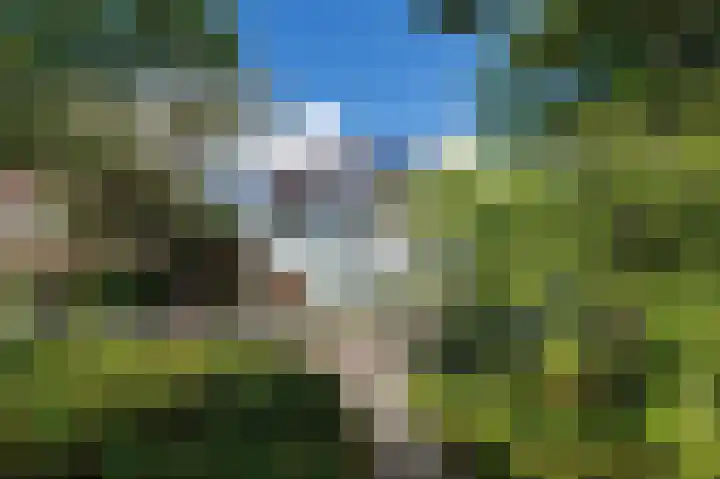 Fruinlaan 14 Leiden thumbnail 52