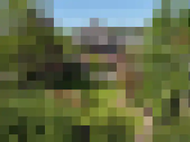 Fruinlaan 6 in Leiden