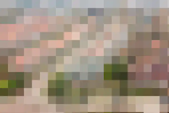 Fruinlaan 8 in Leiden