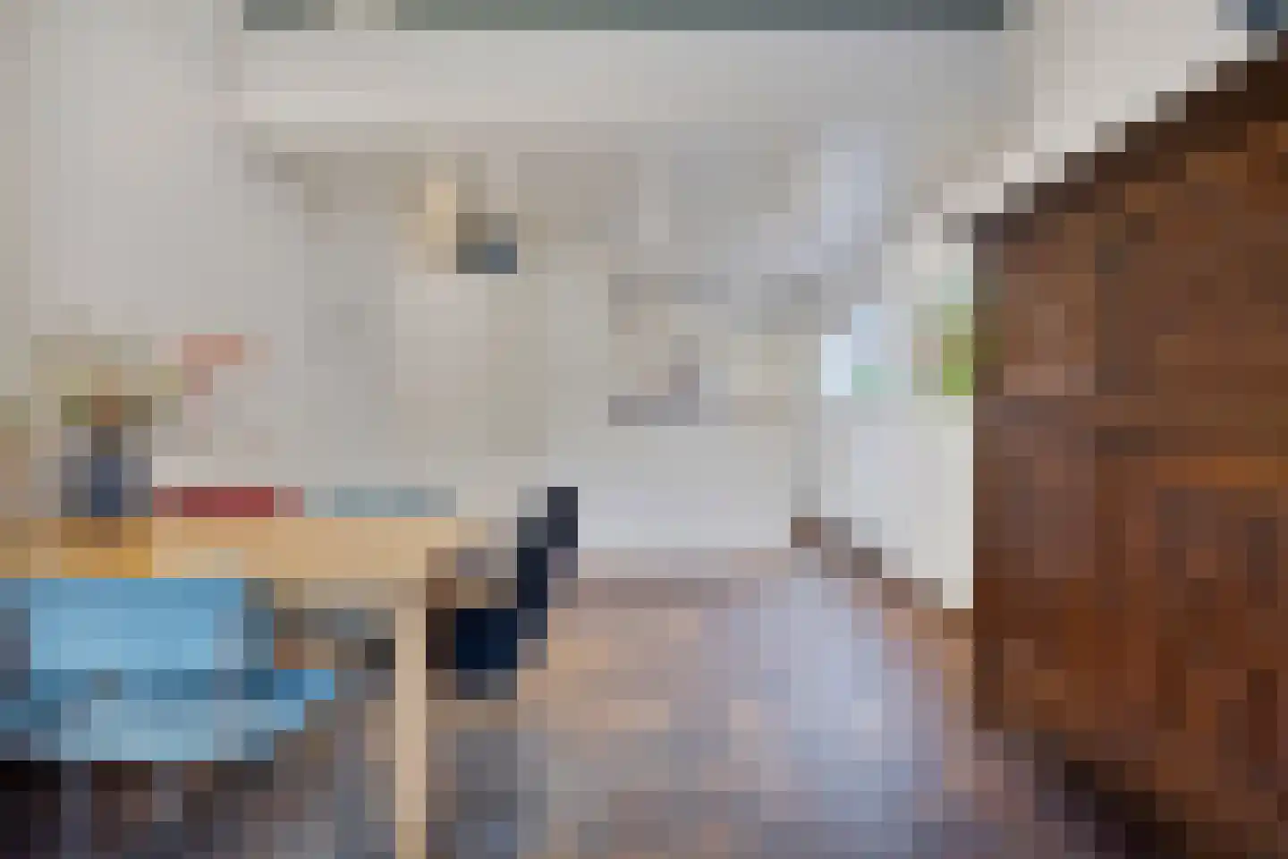 Fruinlaan 8 Leiden thumbnail 11