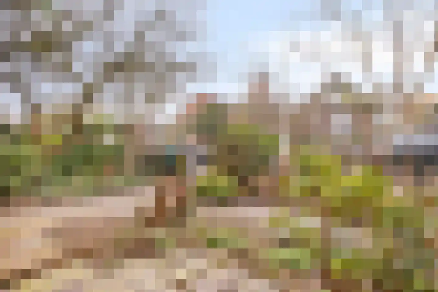Fruinlaan 8 Leiden thumbnail 55