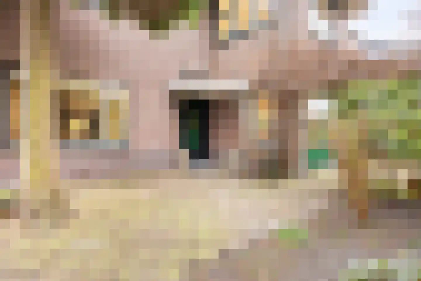 Fruinlaan 8 Leiden thumbnail 58