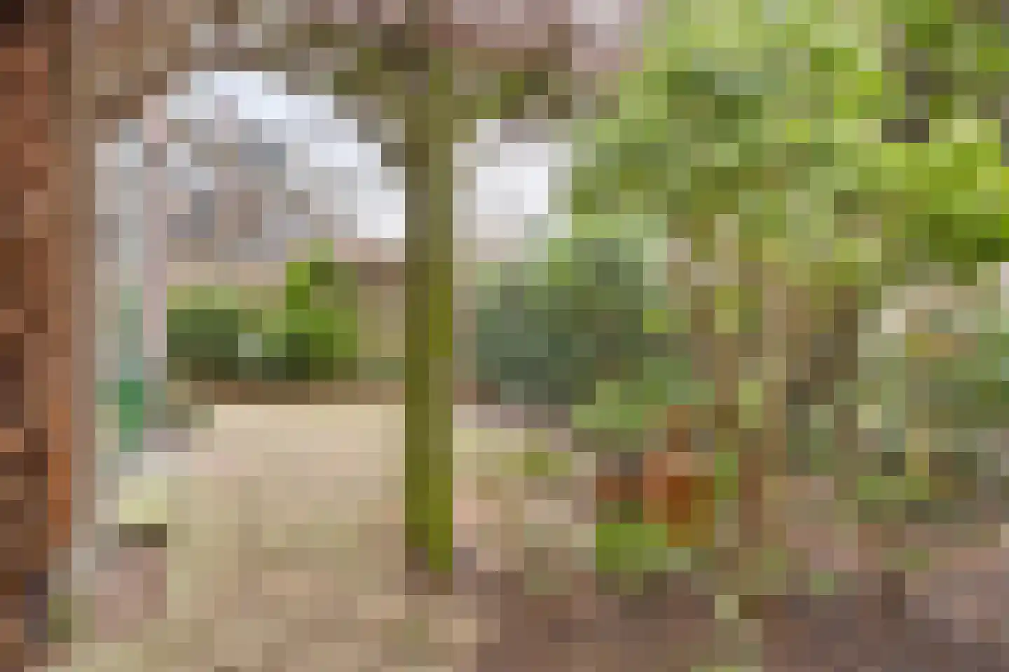 Fruinlaan 8 Leiden thumbnail 59