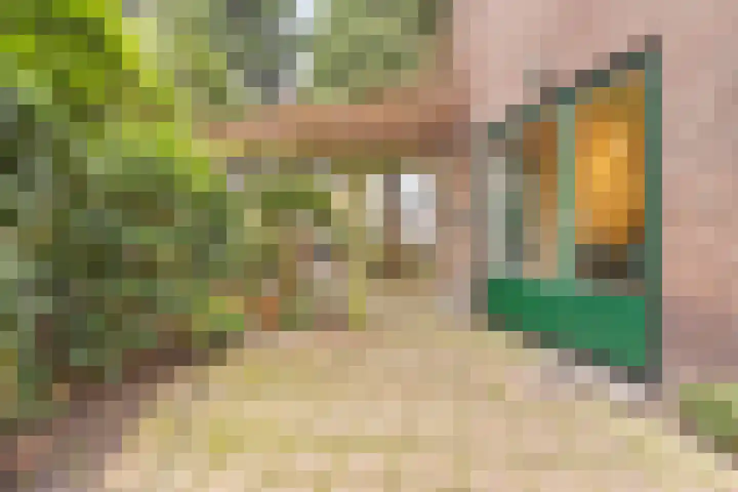 Fruinlaan 8 Leiden thumbnail 60