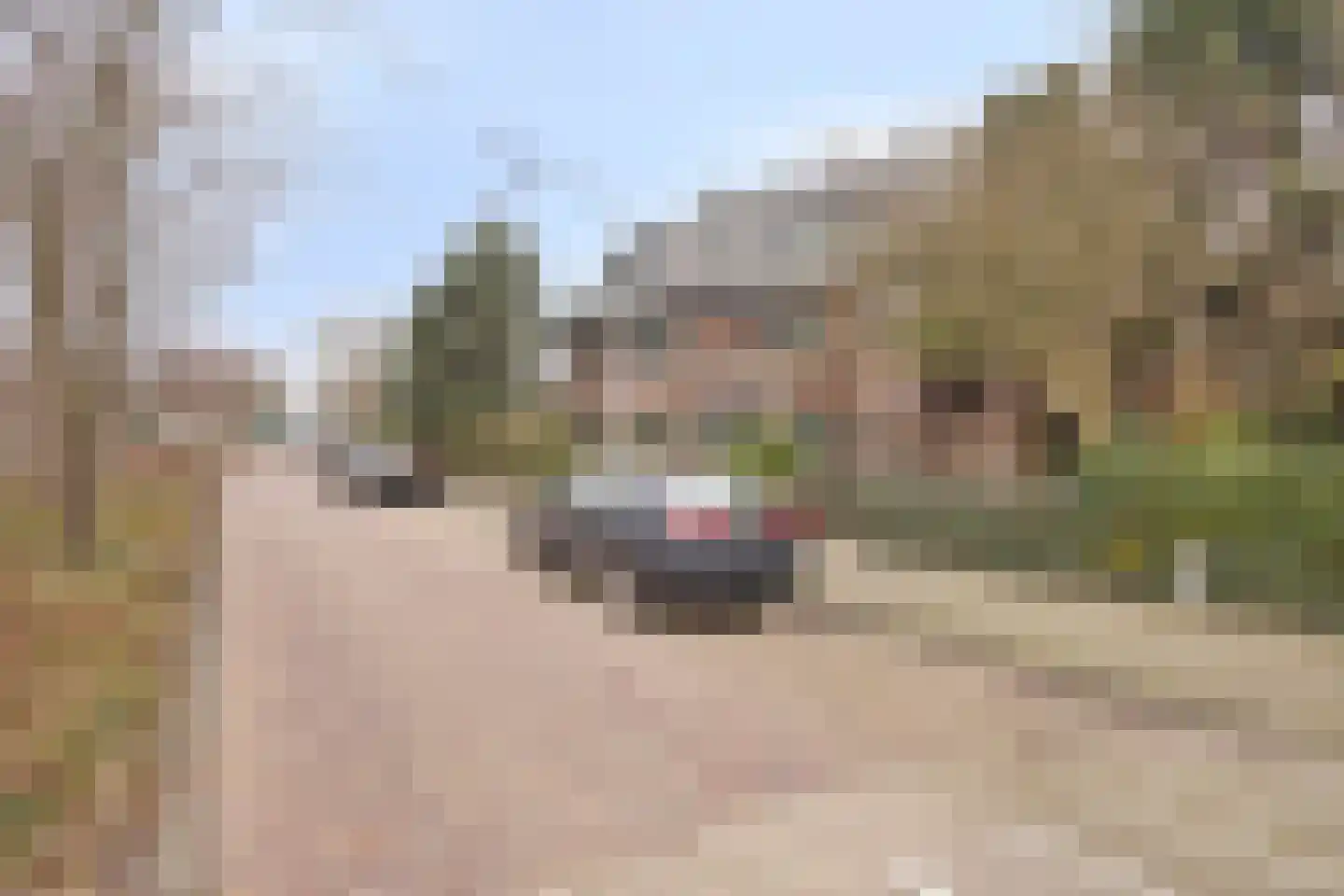 Fruinlaan 8 Leiden thumbnail 73