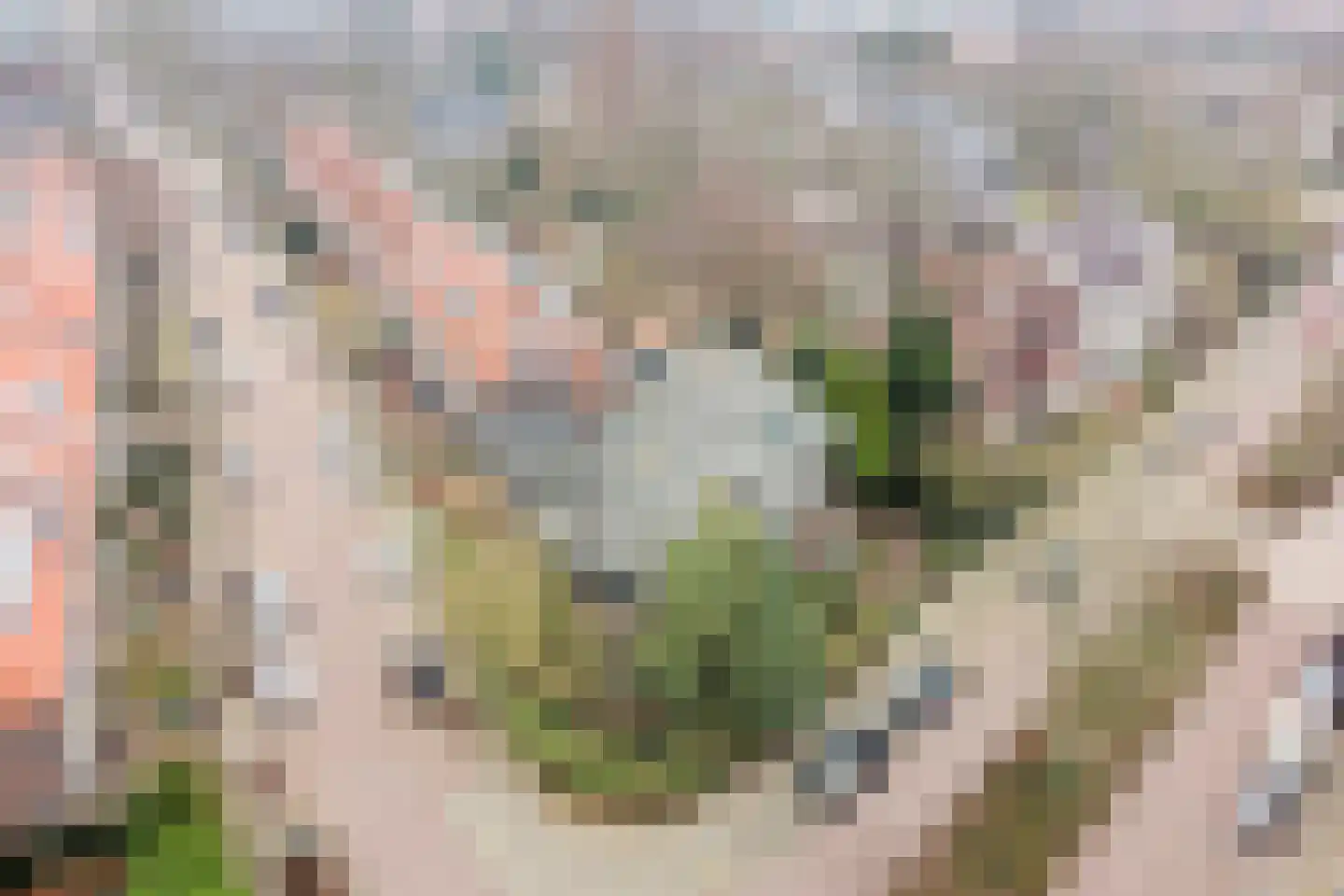 Fruinlaan 8 Leiden thumbnail 78