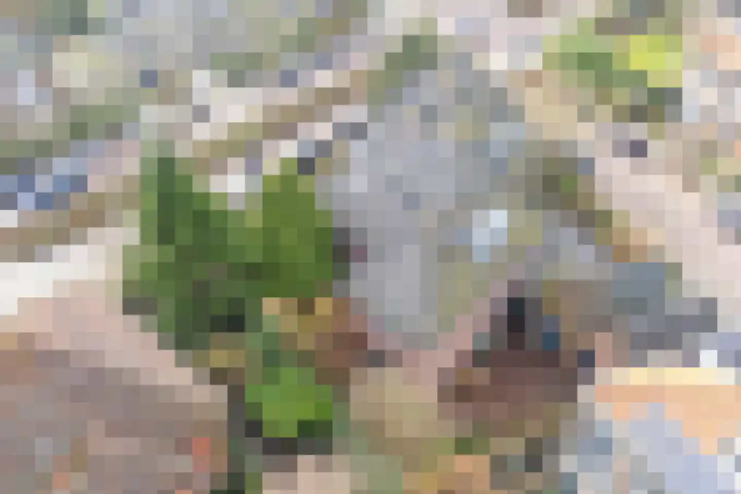 Fruinlaan 8 Leiden thumbnail 84