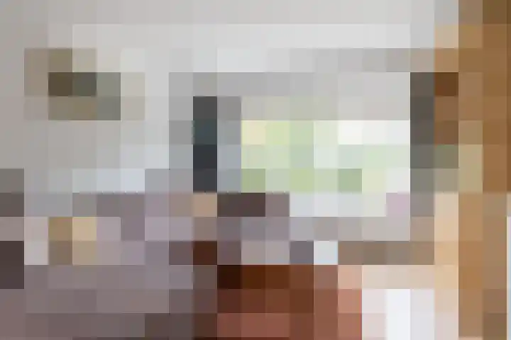 Fruinplantsoen 1 Utrecht thumbnail 11