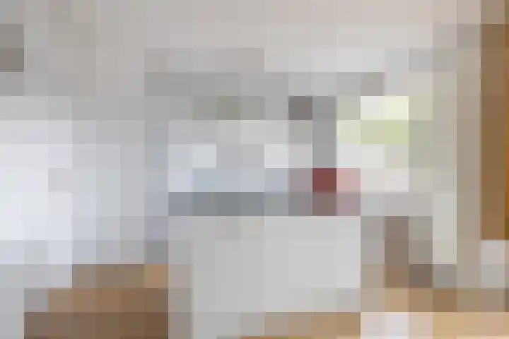 Fruinplantsoen 1 Utrecht thumbnail 20