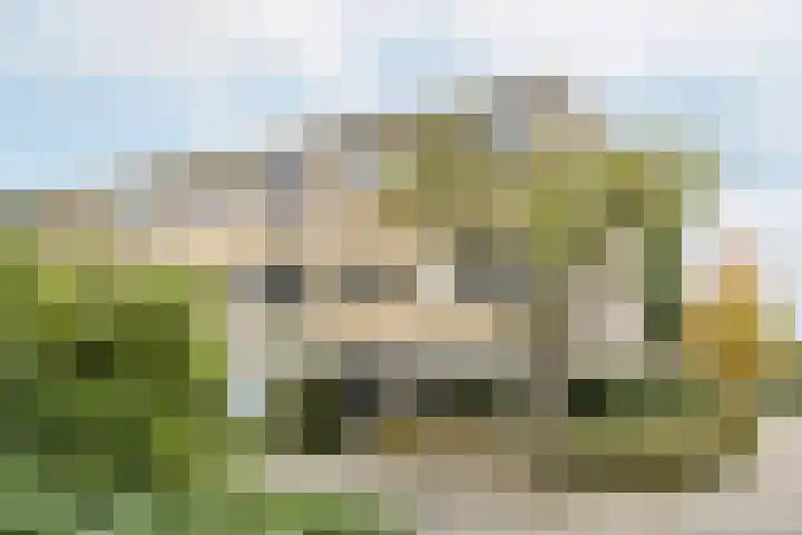 Fruinplantsoen 1 Utrecht thumbnail 6