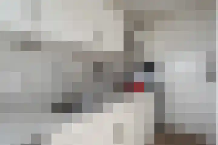 Fruinplantsoen 102 Utrecht thumbnail 14