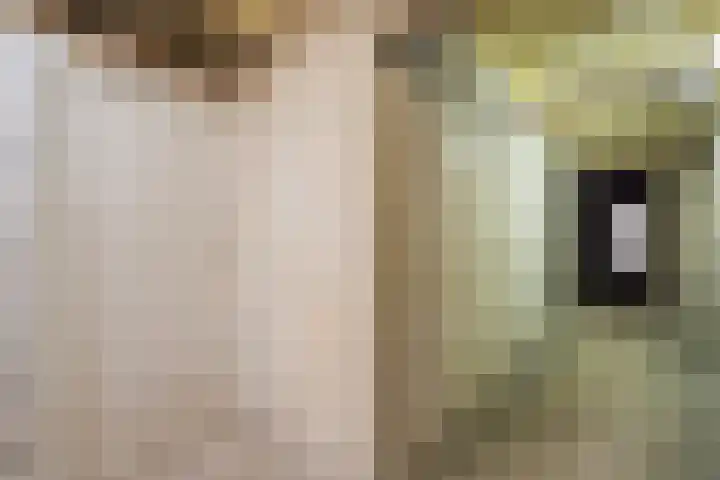 Fruinplantsoen 102 Utrecht thumbnail 28