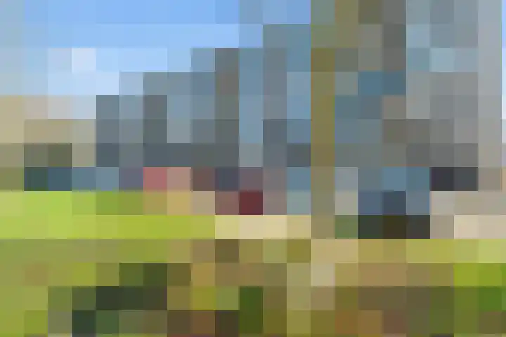 Fruinplantsoen 102 Utrecht thumbnail 30