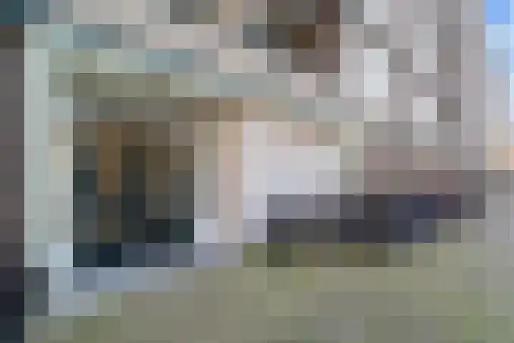 Fruinplantsoen 102 Utrecht thumbnail 32