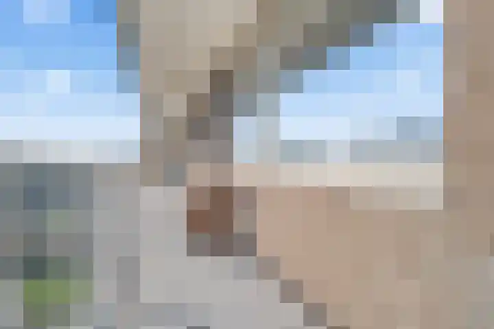 Fruinplantsoen 102 Utrecht thumbnail 35