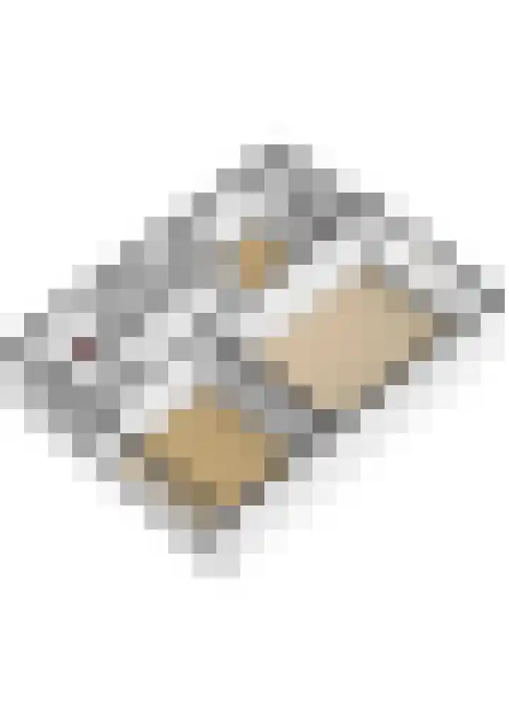 Fruinplantsoen 102 Utrecht thumbnail 42