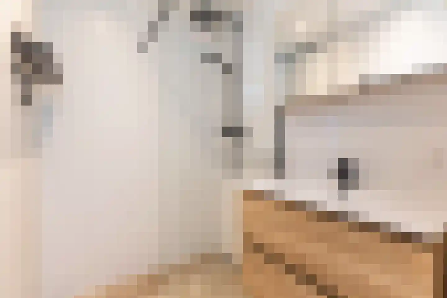 Fruinplantsoen 105 Utrecht thumbnail 21