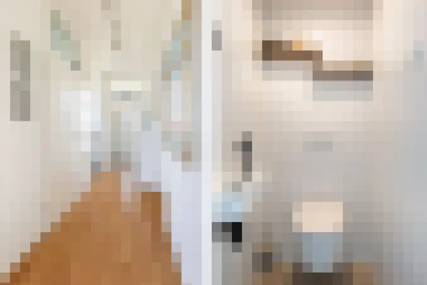 Fruinplantsoen 105 Utrecht thumbnail 4