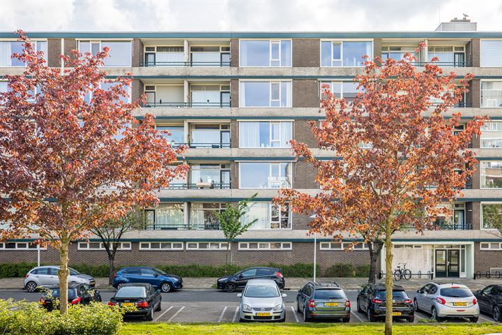 Fruinplantsoen 109 in Utrecht foto