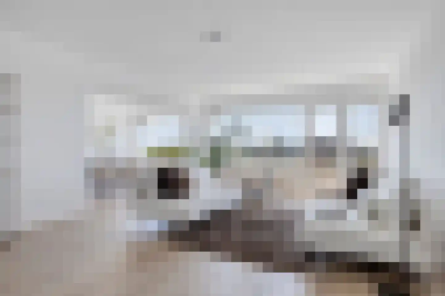 Fruinplantsoen 28 Utrecht thumbnail 6