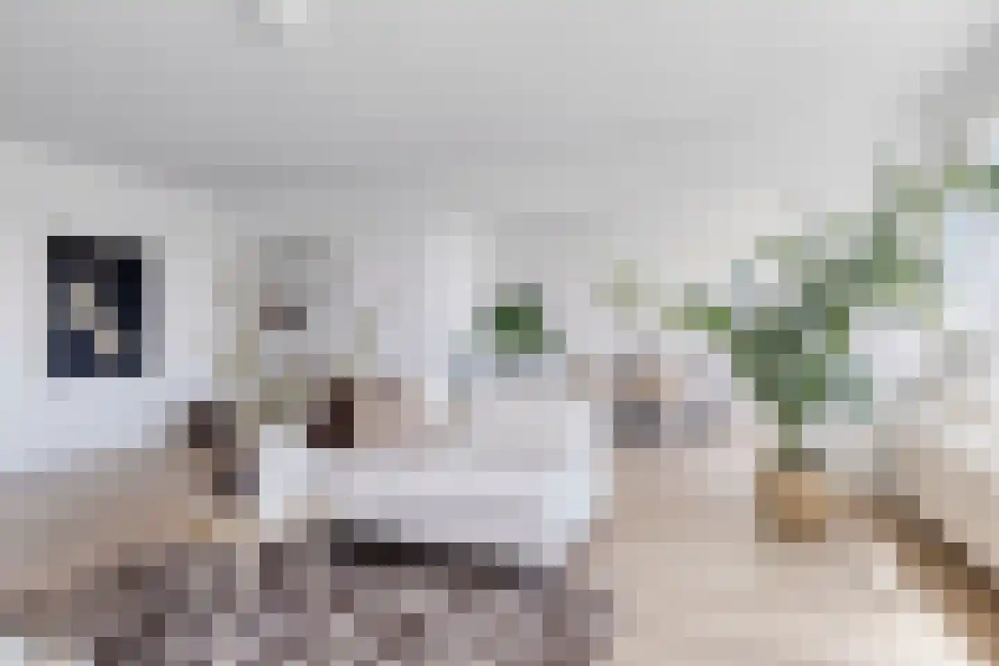 Fruinplantsoen 28 Utrecht thumbnail 7
