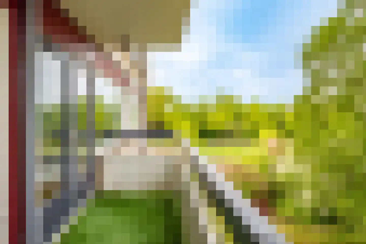 Fruinplantsoen 34 Utrecht thumbnail 32