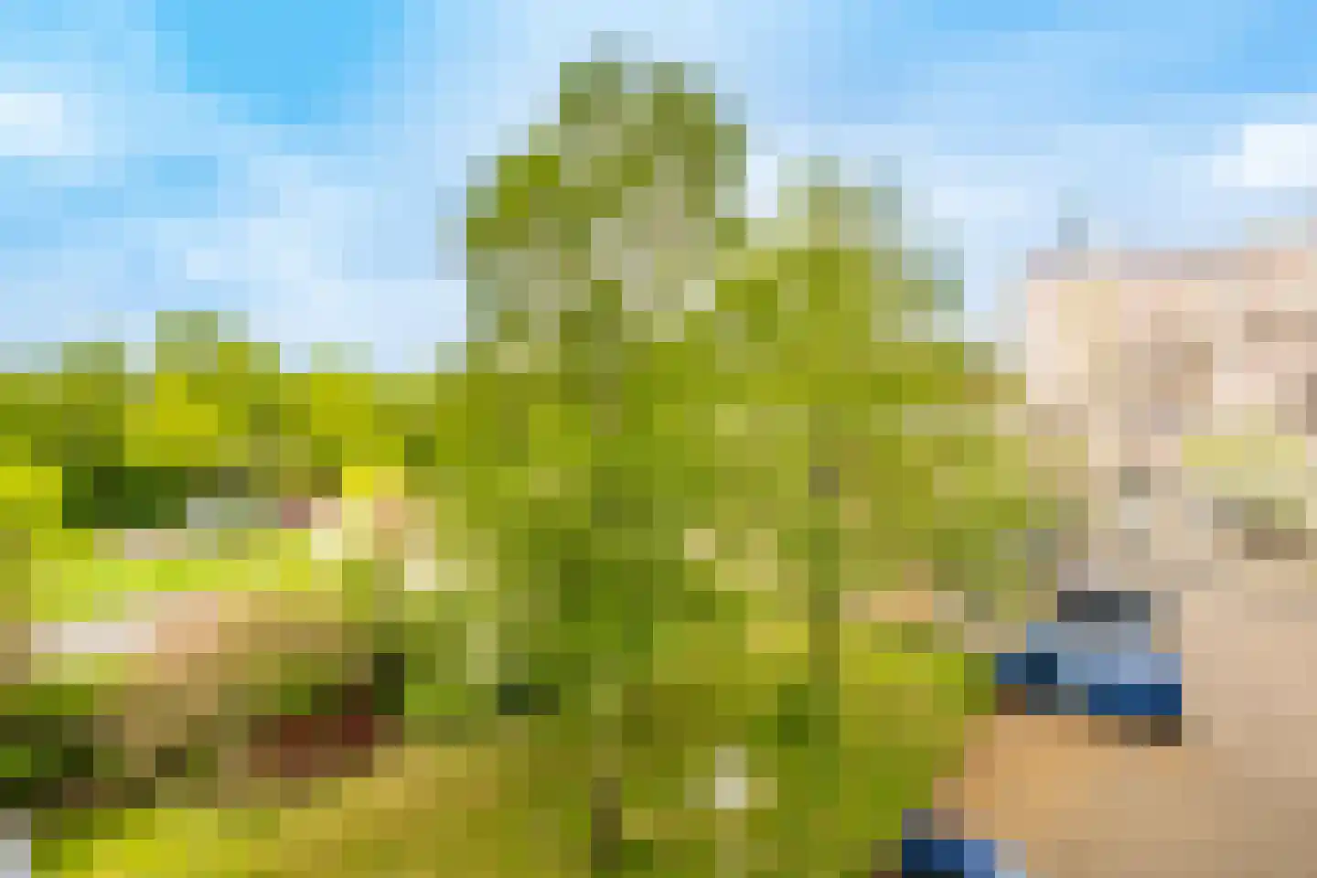 Fruinplantsoen 34 Utrecht thumbnail 33