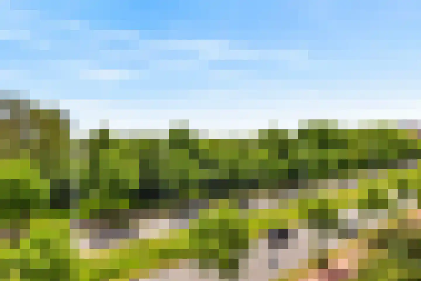Fruinplantsoen 37 Utrecht thumbnail 7