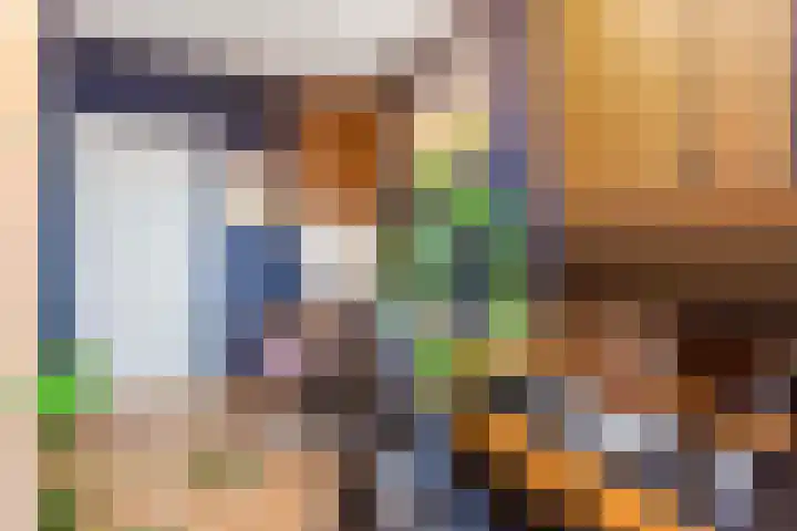 Fruinplantsoen 38 Utrecht thumbnail 19