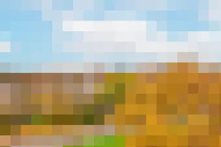 Fruinplantsoen 38 Utrecht thumbnail 6